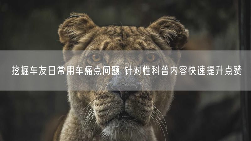 挖掘车友日常用车痛点问题 针对性科普内容快速提升点赞