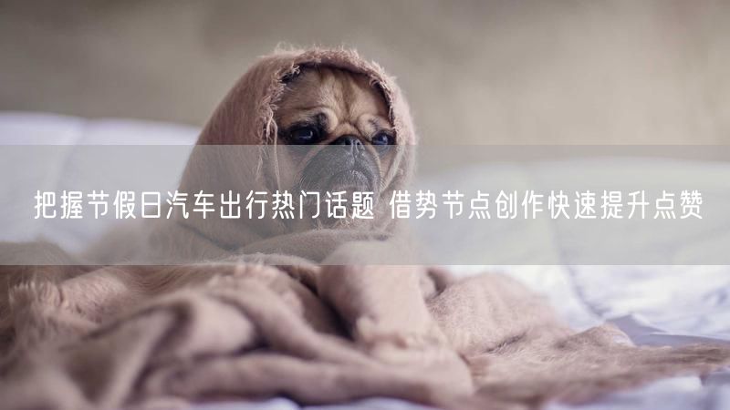 把握节假日汽车出行热门话题 借势节点创作快速提升点赞