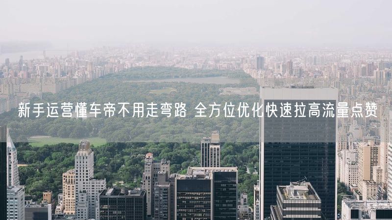 新手运营懂车帝不用走弯路 全方位优化快速拉高流量点赞