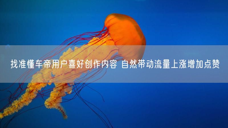 找准懂车帝用户喜好创作内容 自然带动流量上涨增加点赞
