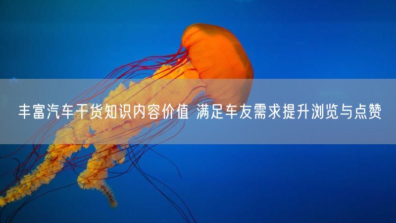 丰富汽车干货知识内容价值 满足车友需求提升浏览与点赞