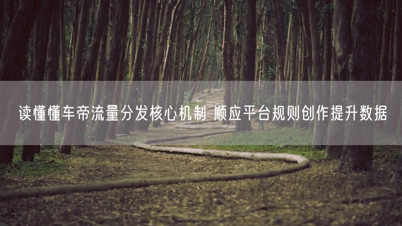 读懂懂车帝流量分发核心机制 顺应平台规则创作提升数据