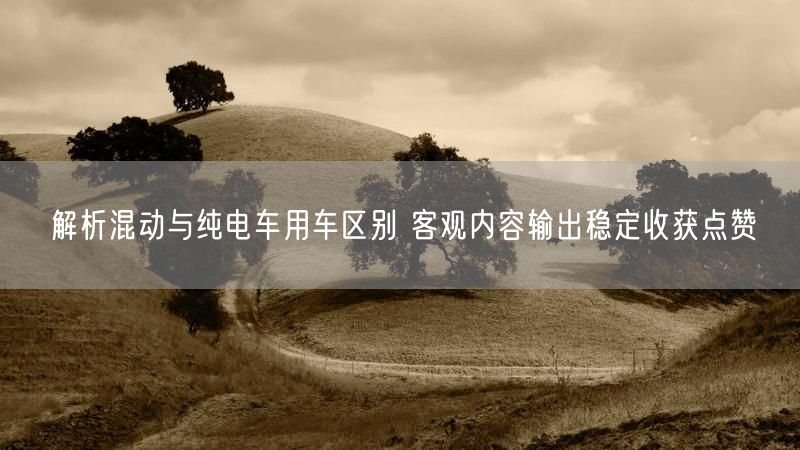 解析混动与纯电车用车区别 客观内容输出稳定收获点赞