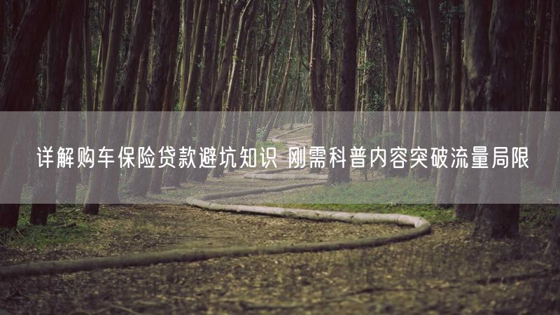 详解购车保险贷款避坑知识 刚需科普内容突破流量局限