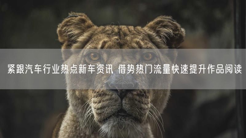 紧跟汽车行业热点新车资讯 借势热门流量快速提升作品阅读