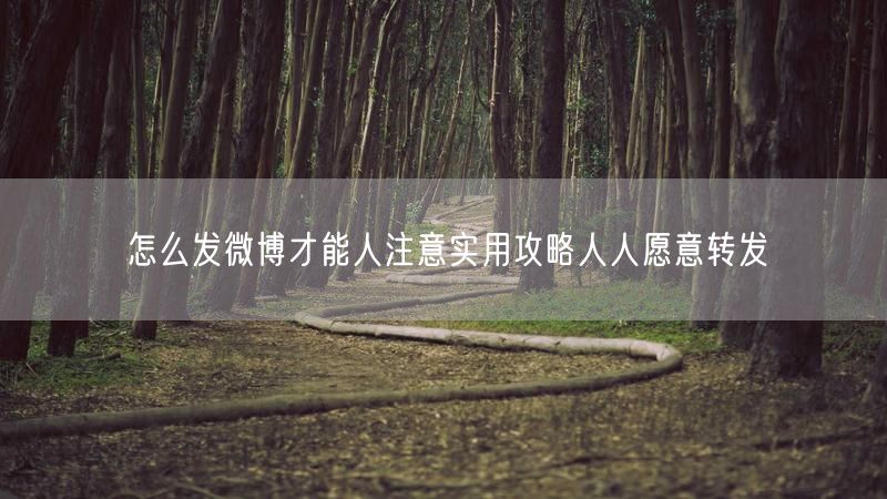 怎么发微博才能人注意实用攻略人人愿意转发