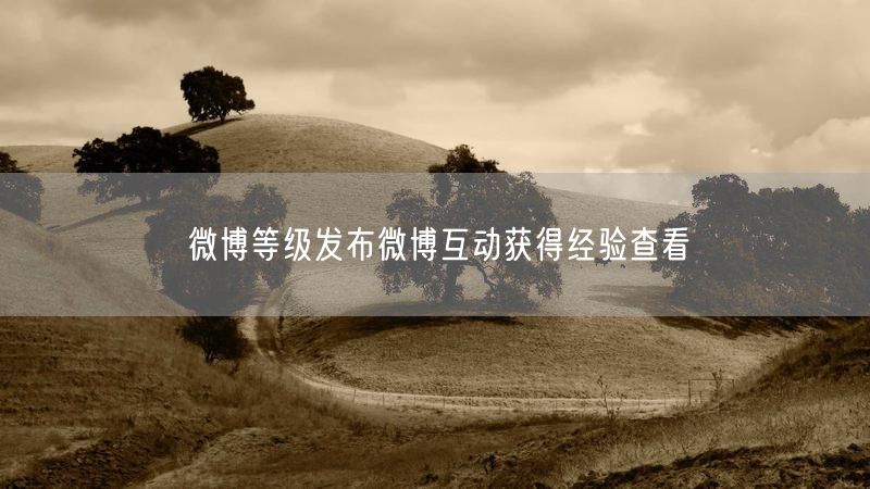 微博等级发布微博互动获得经验查看