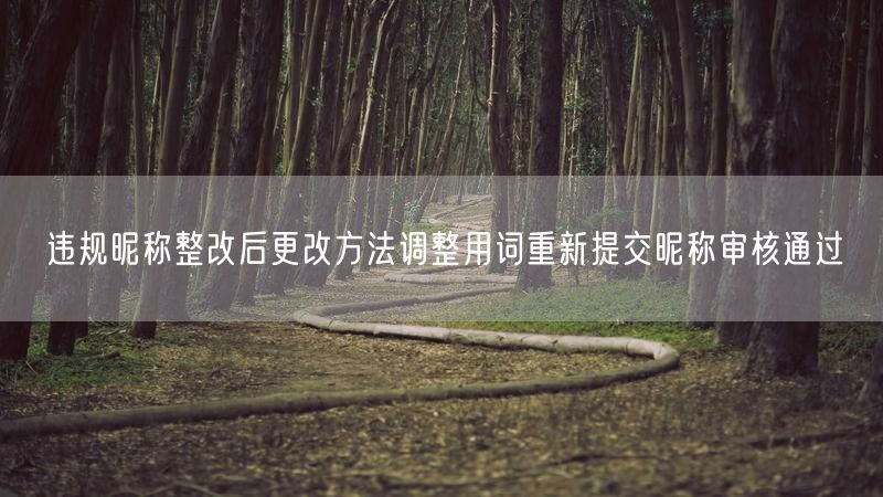 违规昵称整改后更改方法调整用词重新提交昵称审核通过