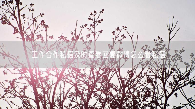 工作合作私信及时查看回复微博怎么看私信