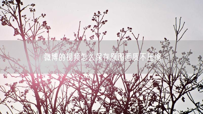 微博的视频怎么保存原图画质不压缩