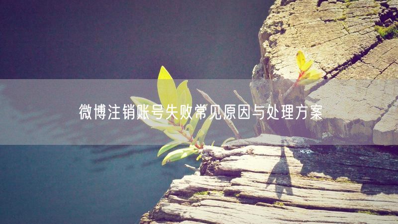 微博注销账号失败常见原因与处理方案