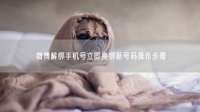 微博解绑手机号立即换绑新号码操作步骤