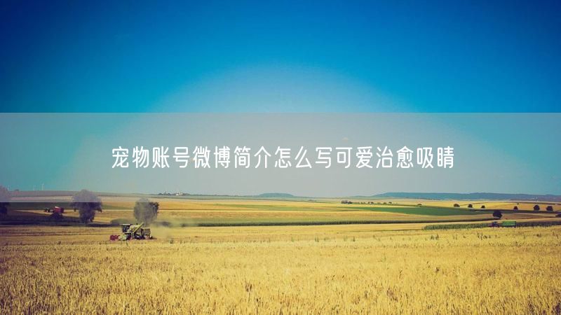 宠物账号微博简介怎么写可爱治愈吸睛