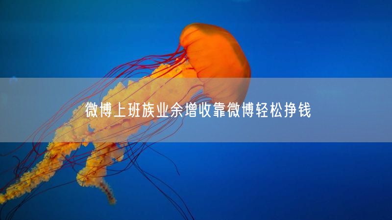 微博上班族业余增收靠微博轻松挣钱