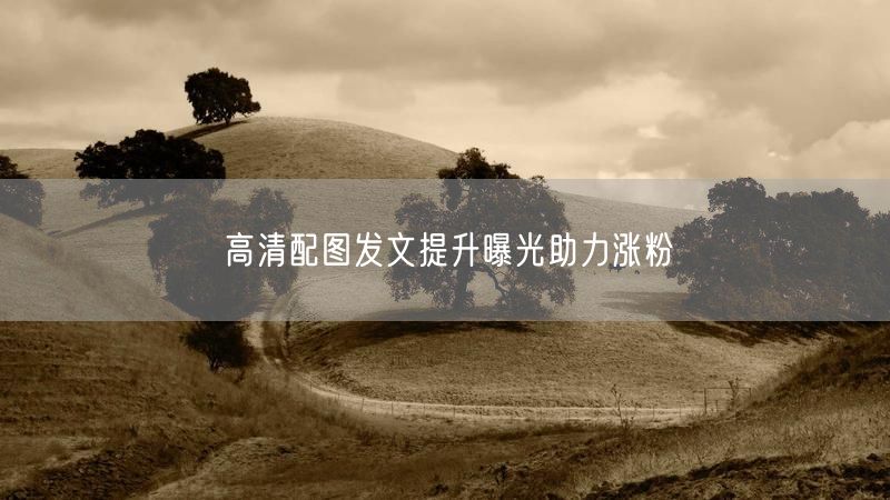 高清配图发文提升曝光助力涨粉