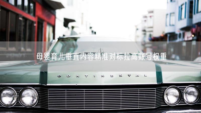母婴育儿垂直内容精准对标拉高账号权重