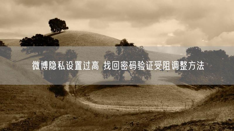 微博隐私设置过高 找回密码验证受阻调整方法