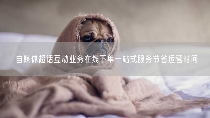 自媒体超话互动业务在线下单一站式服务节省运营时间