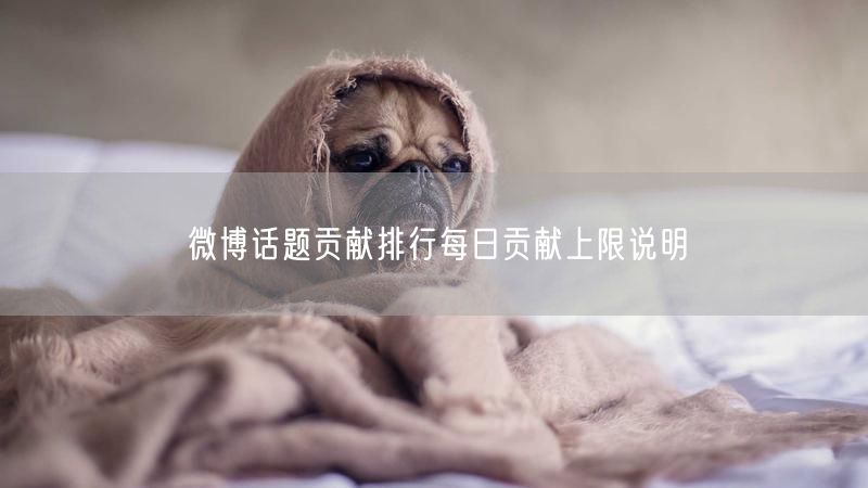 微博话题贡献排行每日贡献上限说明