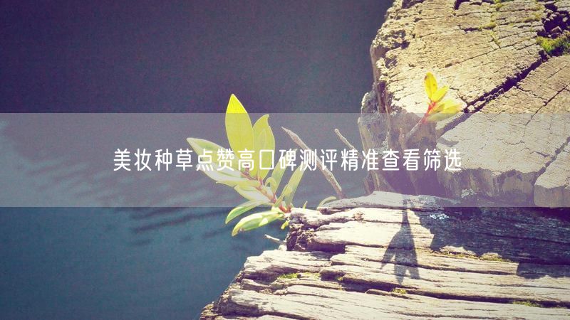 美妆种草点赞高口碑测评精准查看筛选