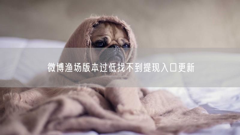 微博渔场版本过低找不到提现入口更新