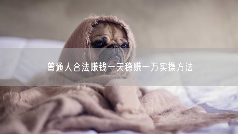 普通人合法赚钱一天稳赚一万实操方法