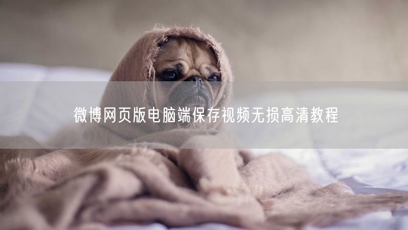 微博网页版电脑端保存视频无损高清教程