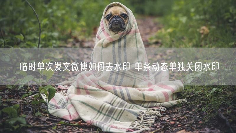 临时单次发文微博如何去水印 单条动态单独关闭水印