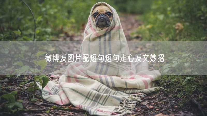 微博发图片配短句短句走心发文妙招