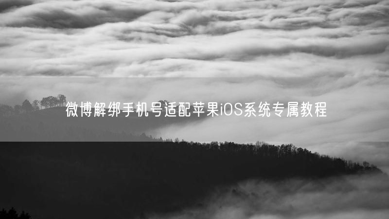 微博解绑手机号适配苹果iOS系统专属教程