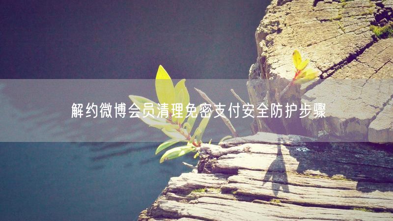 解约微博会员清理免密支付安全防护步骤