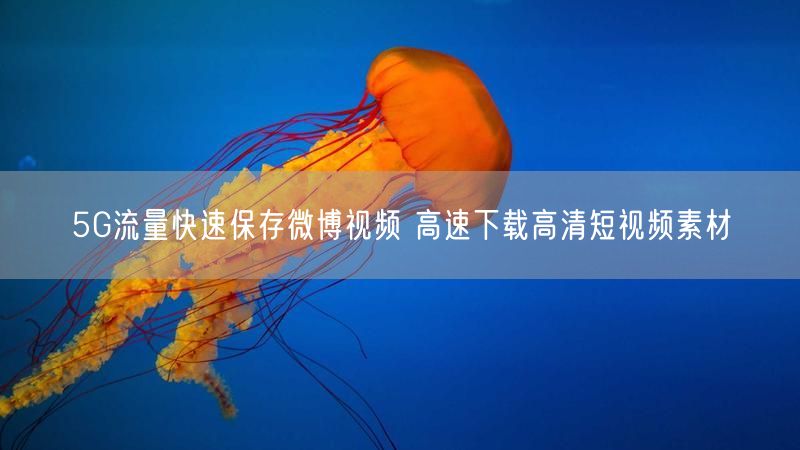 5G流量快速保存微博视频 高速下载高清短视频素材