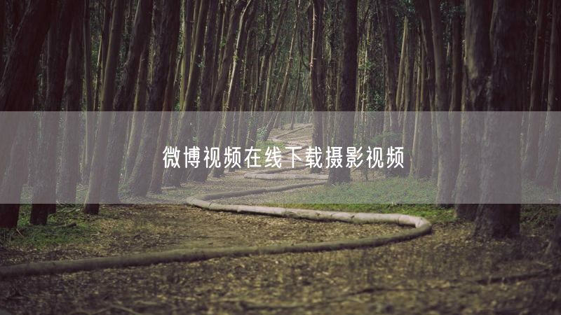 微博视频在线下载摄影视频